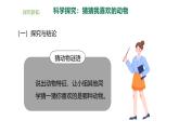 小学科学新大象版一年级上册第二单元第3课《我喜欢的动物》教学课件2（2024秋）