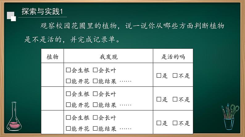 第7课 植物是生物 课件第4页