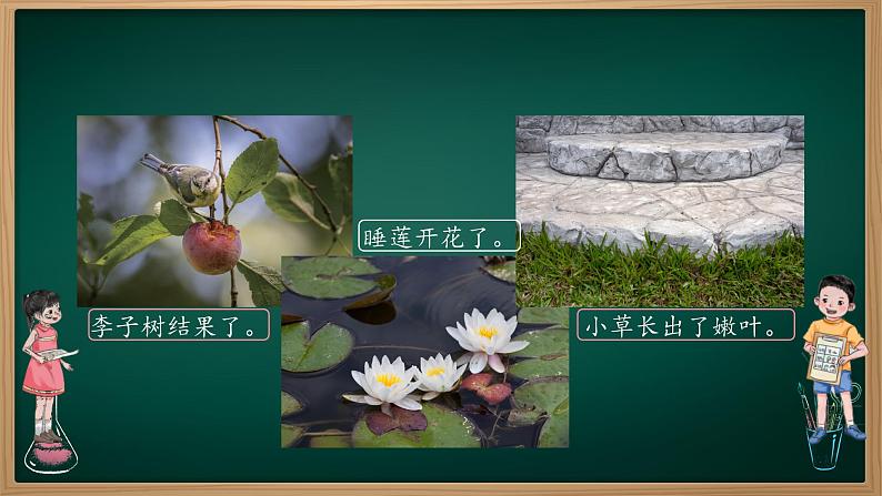 第7课 植物是生物 课件第6页