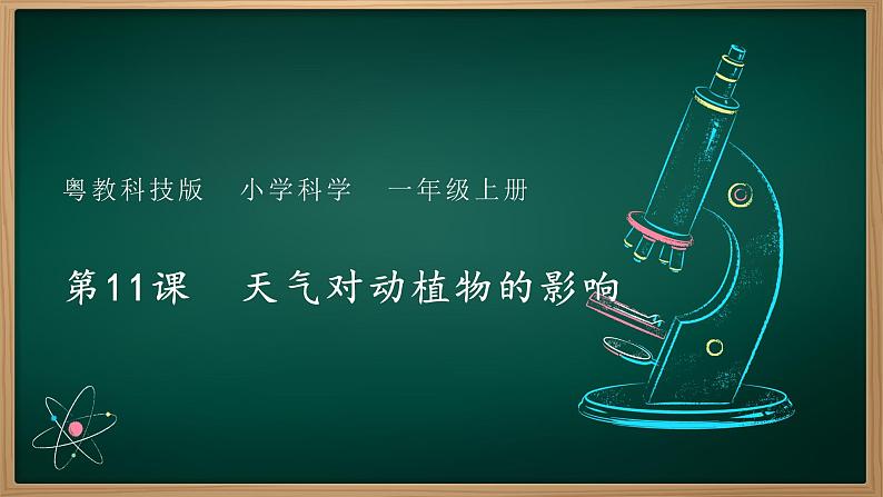 第11课 天气对动植物的影响 课件第1页