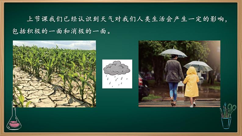 第11课 天气对动植物的影响 课件第2页