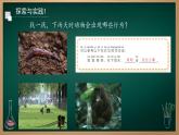 第11课 天气对动植物的影响 课件