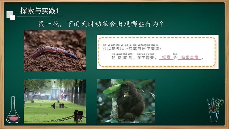 第11课 天气对动植物的影响 课件第5页