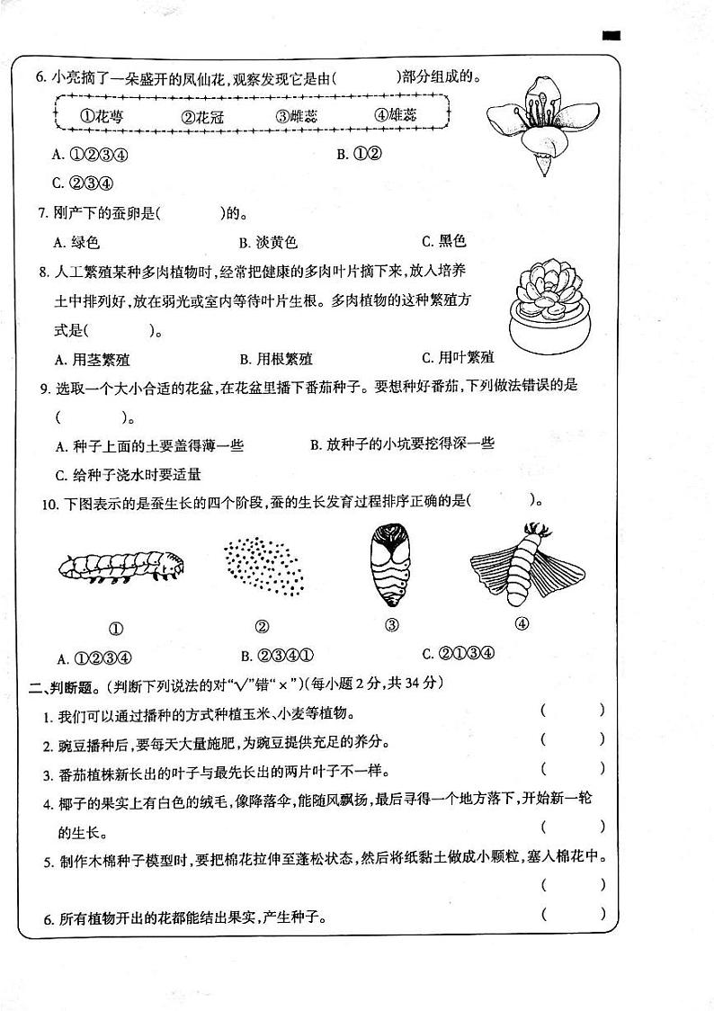 河南省周口市鹿邑县鸣鹿办事处中心学校2024-2025学年四年级上学期10月月考科学试题02
