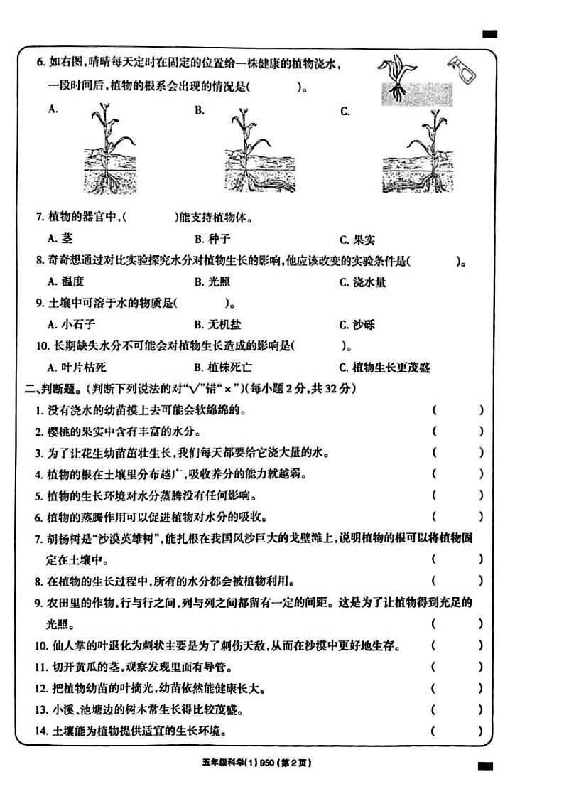 河南省周口市鹿邑县鸣鹿办事处中心学校2024-2025学年五年级上学期10月月考科学试题02