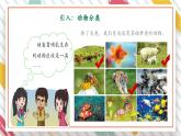 【大单元整体教学】大象版科学三年级上册2.3动物的分类 单元整体设计+课件+教案+素材