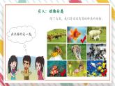 【大单元整体教学】大象版科学三年级上册2.3动物的分类 单元整体设计+课件+教案+素材