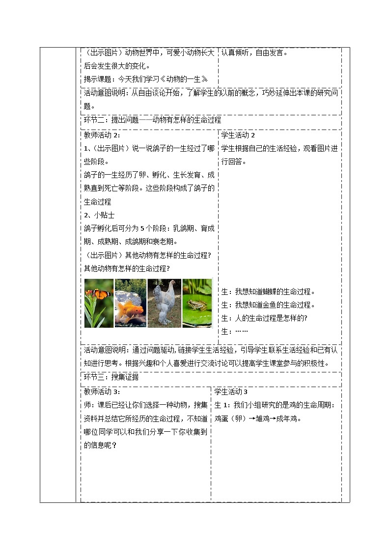 【大单元整体教学】2.4 动物的一生  课时教案第2页