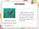 【大单元整体教学】大象版科学三年级上册2.5珍稀动物 单元整体设计+课件+教案+素材
