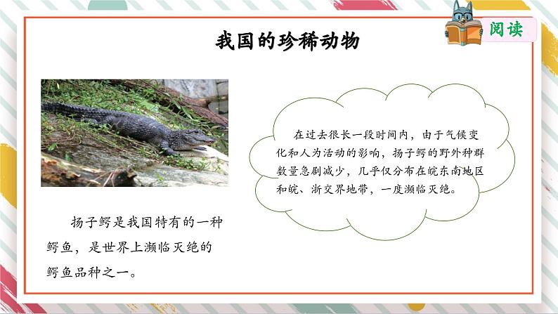 【大单元整体教学】2.5珍稀动物  课时课件第5页