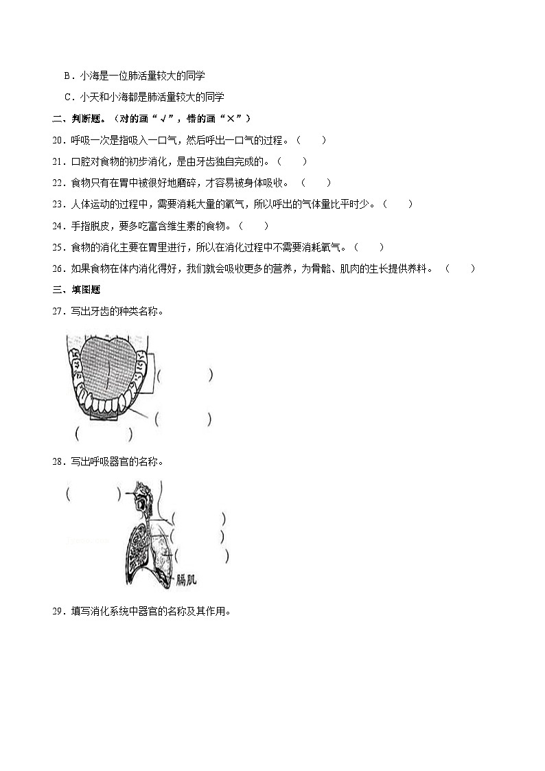 浙江省湖州市长兴县长兴县雉城镇第二小学2023-2024学年四年级上学期11月月考科学试题03