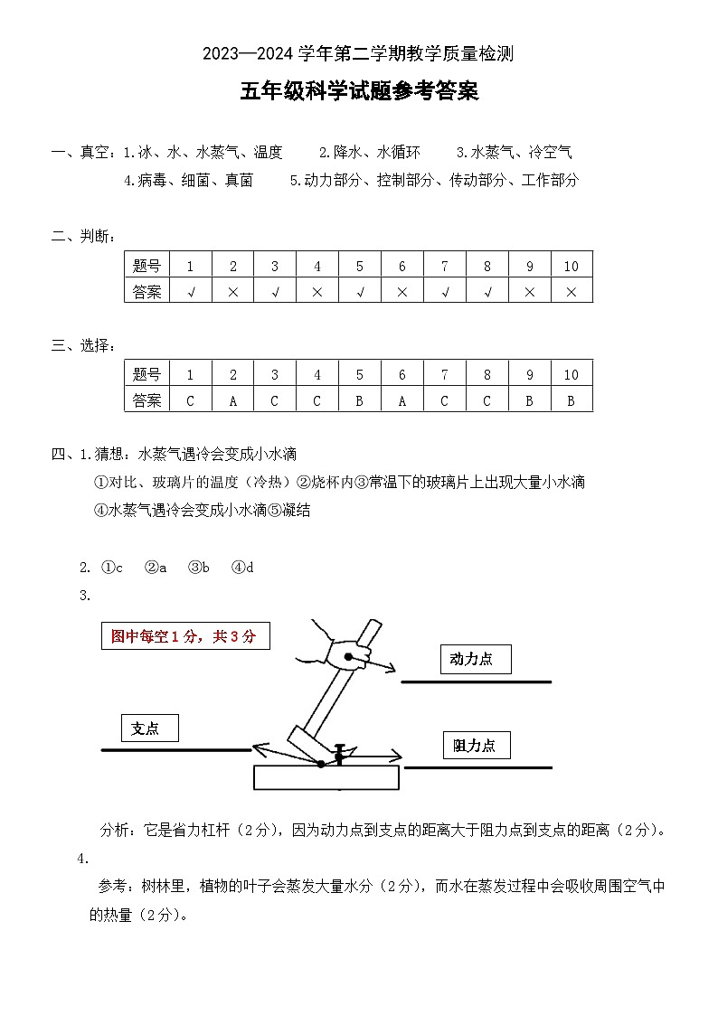 河北省保定市高阳县2023-2024学年五年级下学期期末科学试题01