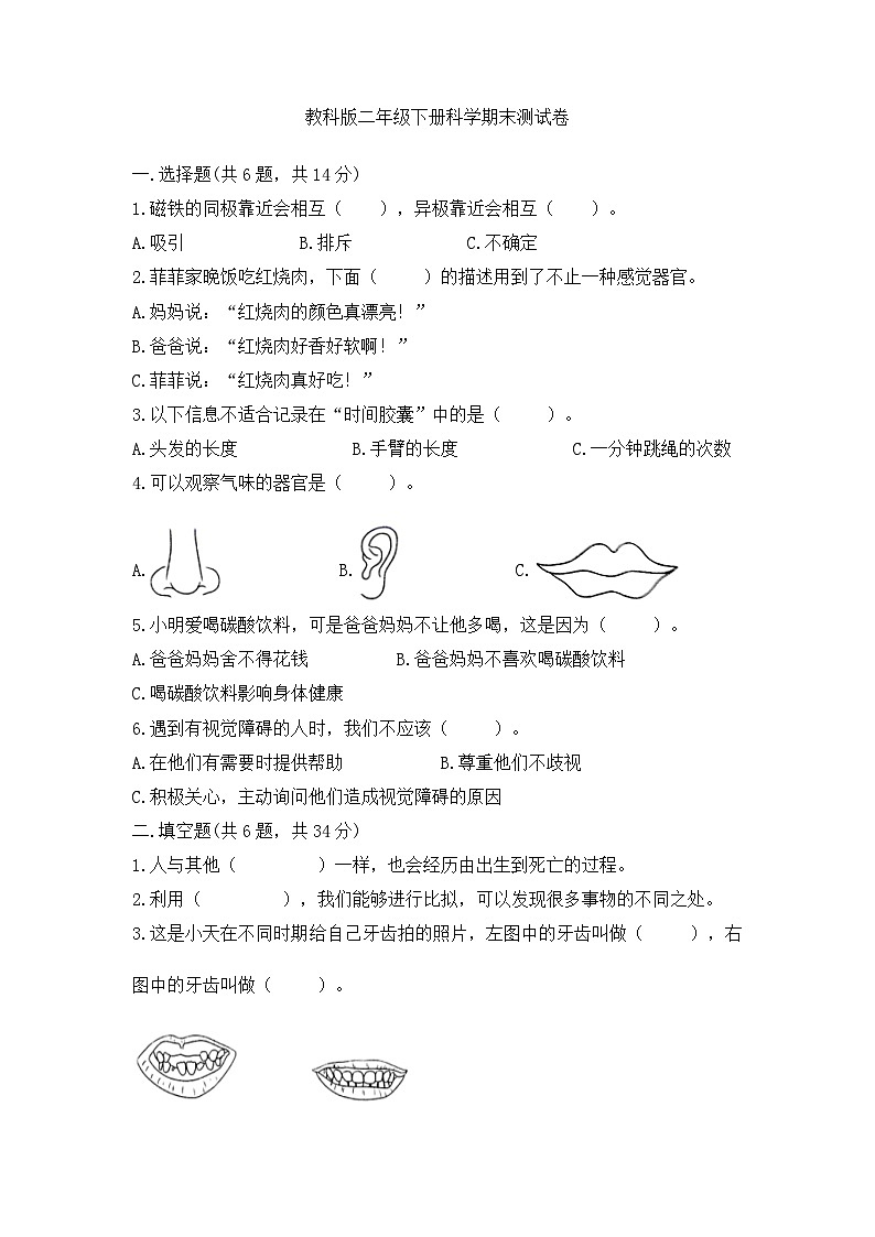 二年级下册科学教科版期末检测（有答案）01