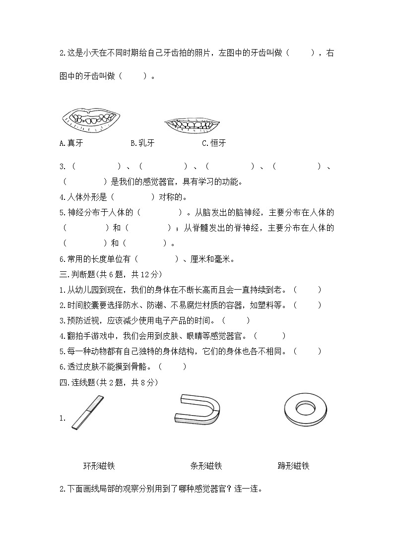二年级下册科学教科版期末试题第2页