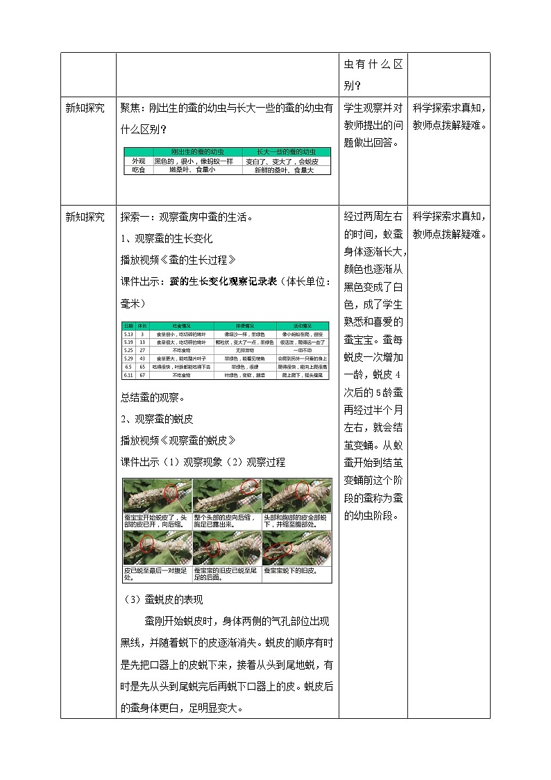 《蚕长大了》优质教案第2页