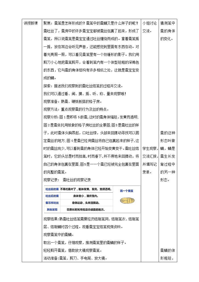 《蚕变了新模样》名师教案第2页