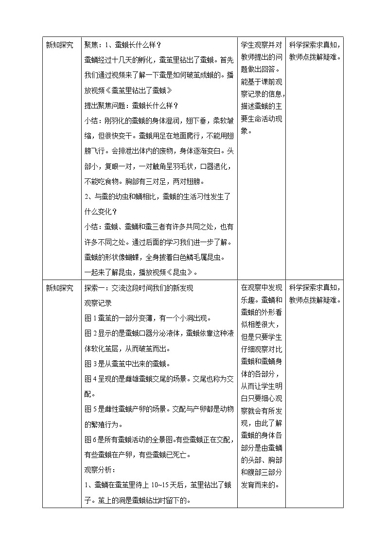 《茧中钻出了蚕蛾》优质教案第2页