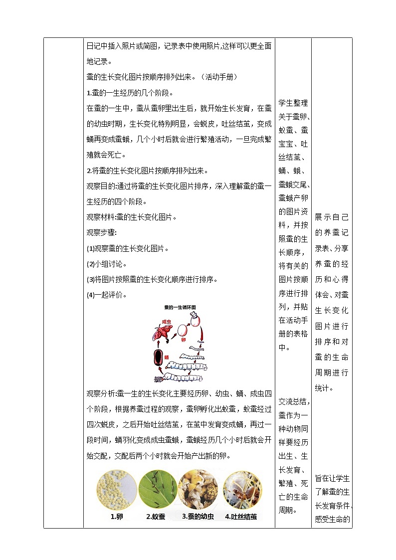 《蚕的一生》名师教案第3页
