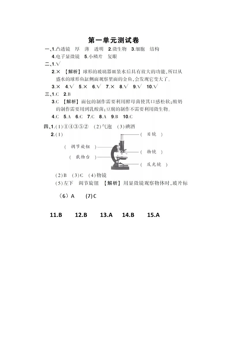 科学月考答案第1页