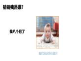 小學科學新教科版一年級上冊第二單元第2課《發(fā)現(xiàn)生長》教學課件（2024秋）