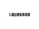 小学科学新教科版一年级上册第二单元第5课《通过感官来发现》教学课件（2024秋）