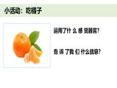 小学科学新教科版一年级上册第二单元第5课《通过感官来发现》教学课件（2024秋）