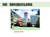 小学科学新教科版一年级上册第二单元第5课《通过感官来发现》教学课件（2024秋）