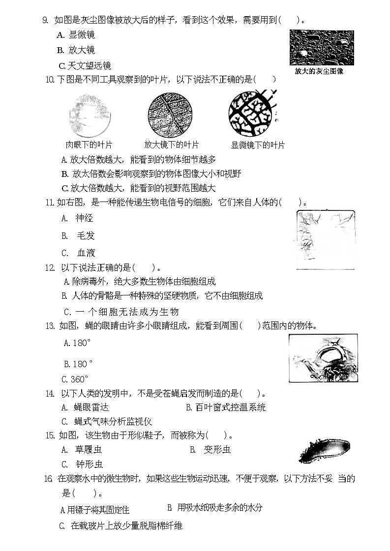 广东省深圳市罗湖区2024-2025学年六年级上学期第一次月考科学试题02