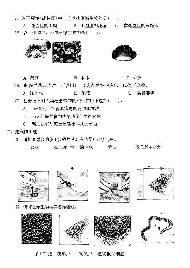 广东省深圳市罗湖区2024-2025学年六年级上学期第一次月考科学试题03