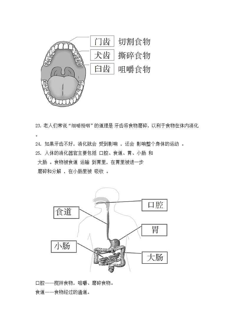 《呼吸与消化》知识点第3页