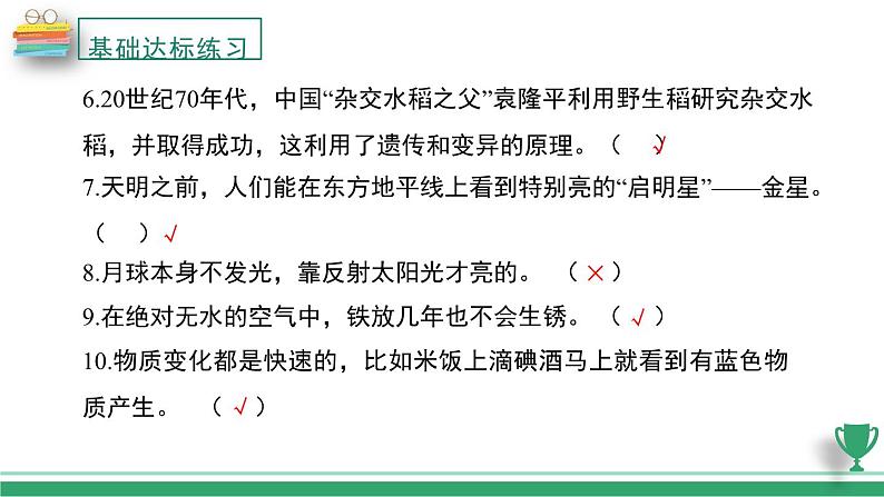 教科版科学六年级下册复习课件（全册）03