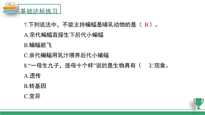 教科版科学六年级下册复习课件（全册）08