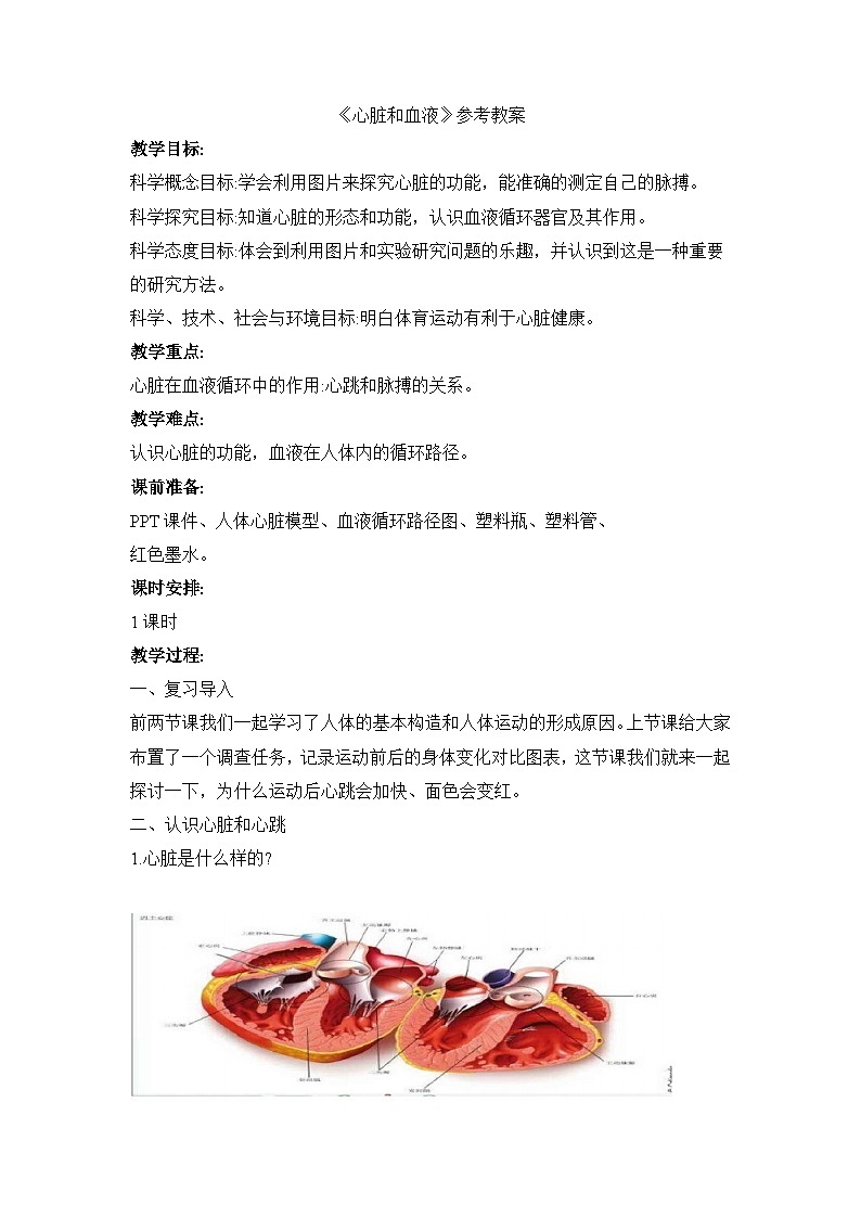 《心脏和血液》参考教案第1页