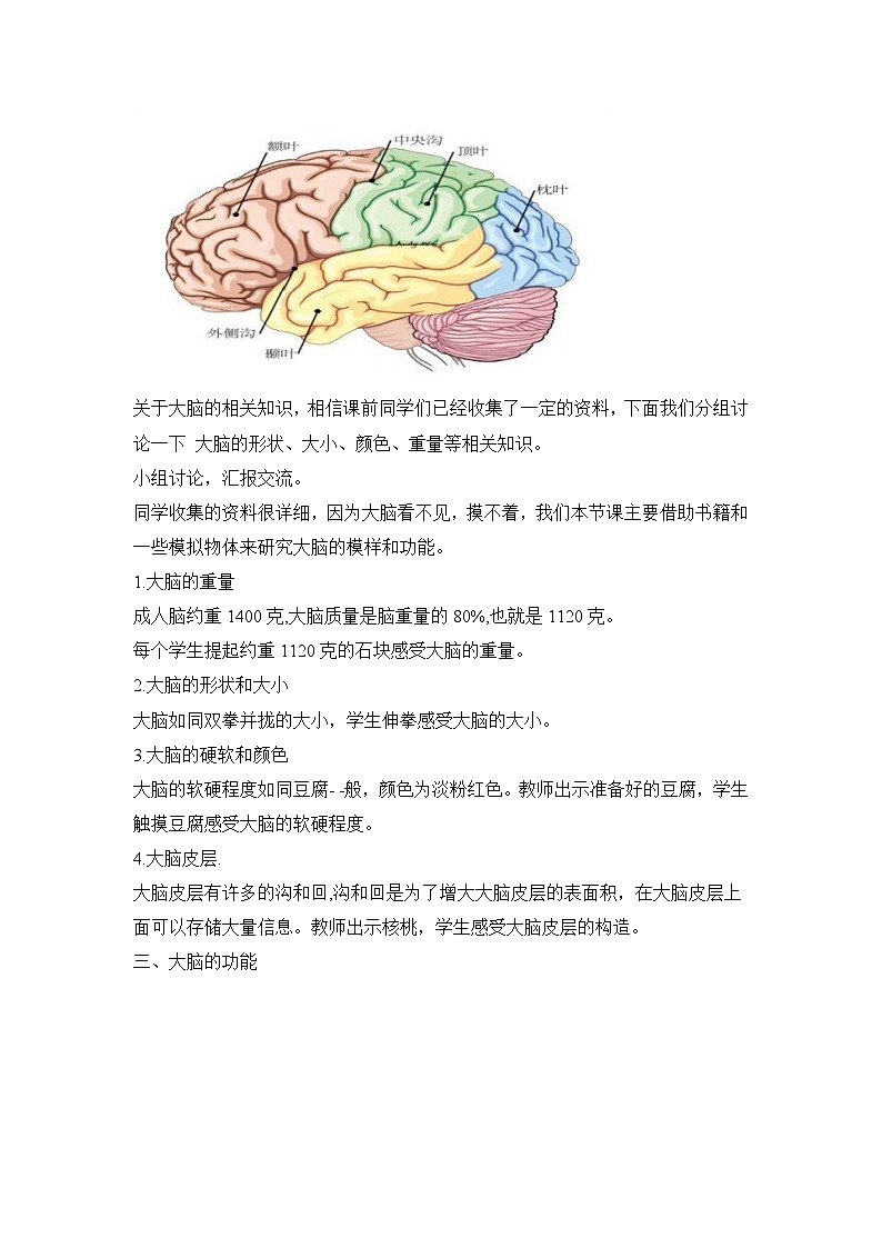 《身体的“总指挥”》参考教案第2页