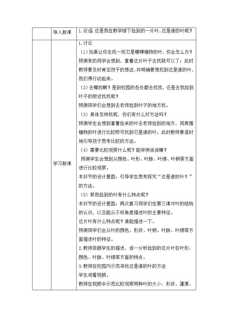 《这是谁的叶》教学设计第2页