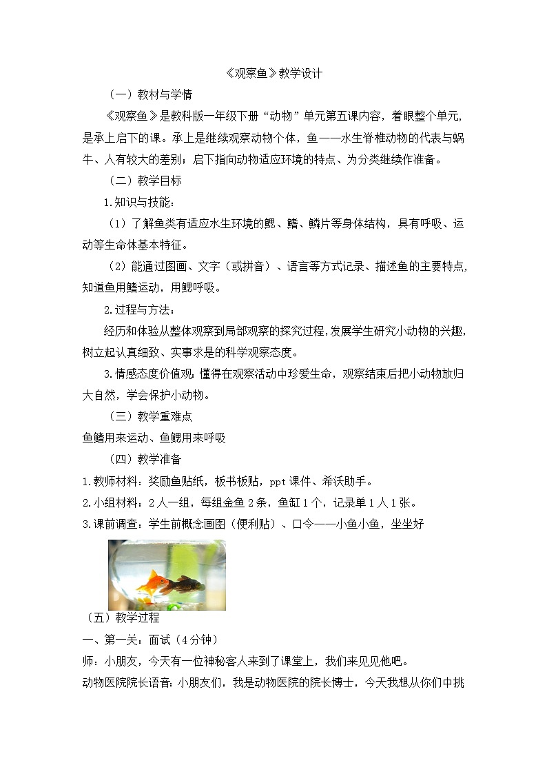 《观察鱼》优质教案第1页