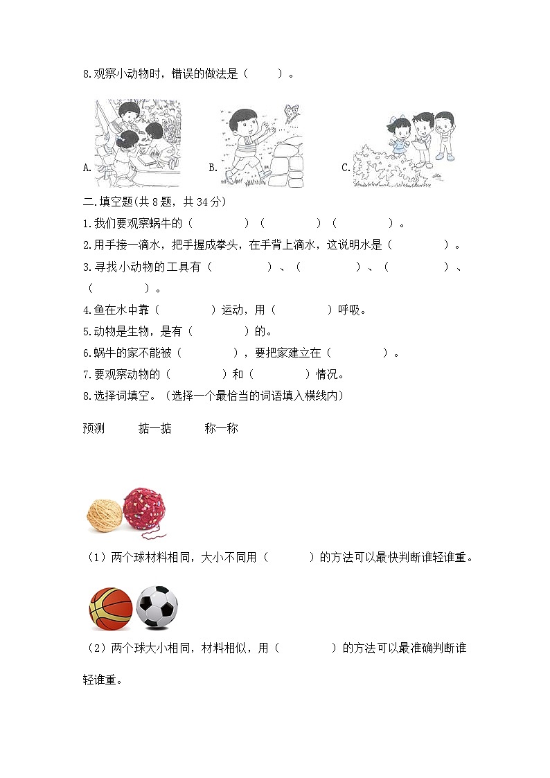 教科版科学一年级下册期末测试《满分必刷（A卷）》02