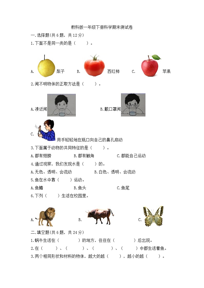 教科版一年级下册科学期末测试卷第1页