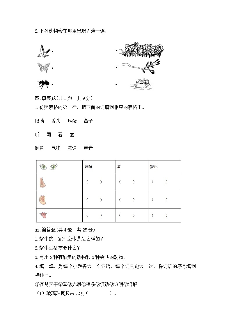 教科版一年级下册科学期末测试卷102