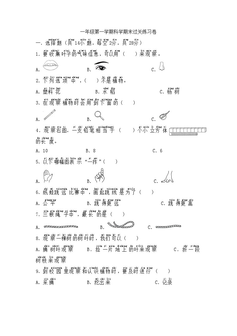 教科版一年级上册科学期末检测01
