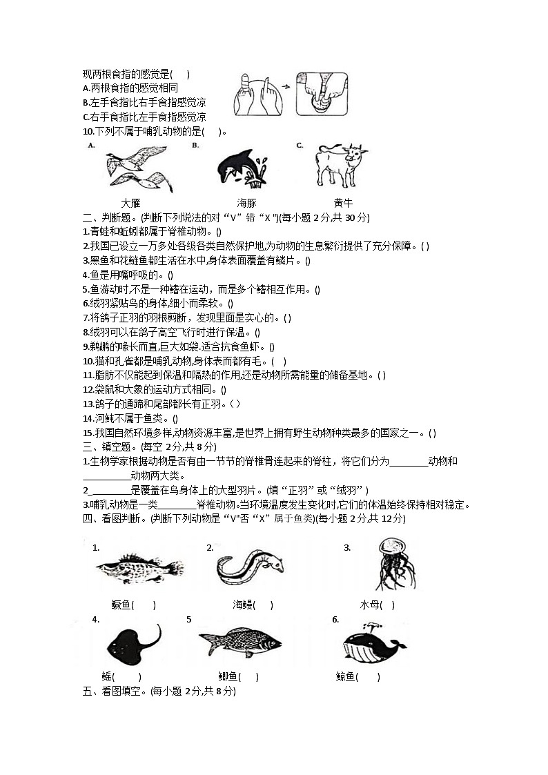 山西省大同地区2024-2025学年四年级上学期期中课堂观测（一）科学试题02