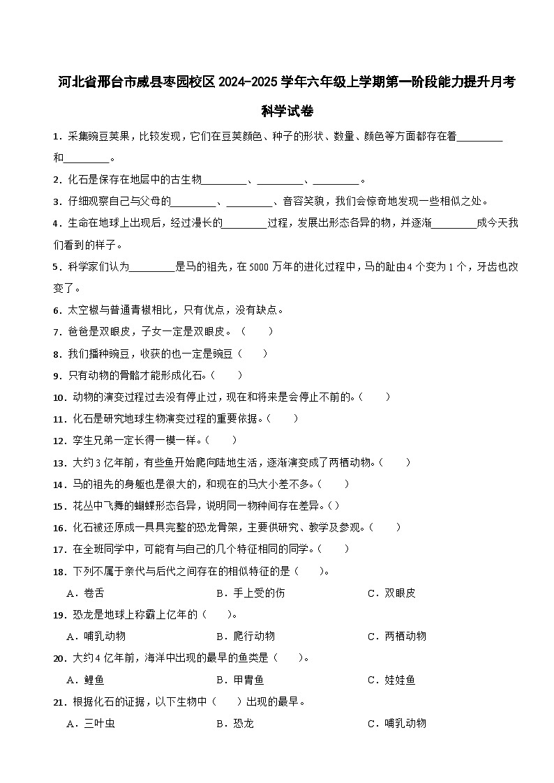 河北省邢台市威县枣园校区2024-2025学年六年级上学期第一阶段能力提升月考科学试卷01