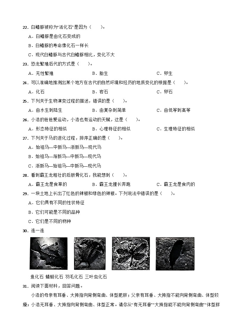 河北省邢台市威县枣园校区2024-2025学年六年级上学期第一阶段能力提升月考科学试卷02