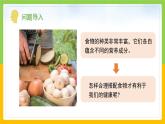 教科版 科学 四上 2.6《营养要均衡》课件+教案（表格式+教学反思）