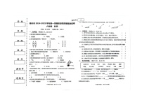 新疆喀什市2024-2025学年六年级上学期期中阶段测科学试题