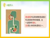 教科版 科学 四上 2.7《食物在口腔里的变化》课件+教案（表格式+教学反思）
