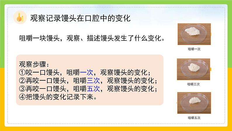 教科版 科学 四上 2.7《食物在口腔里的变化》课件第6页