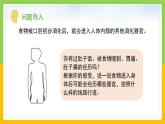 教科版 科學(xué) 四上 2.8《食物在身體里的旅行》課件+教案（表格式+教學(xué)反思）