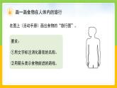 教科版 科學(xué) 四上 2.8《食物在身體里的旅行》課件+教案（表格式+教學(xué)反思）
