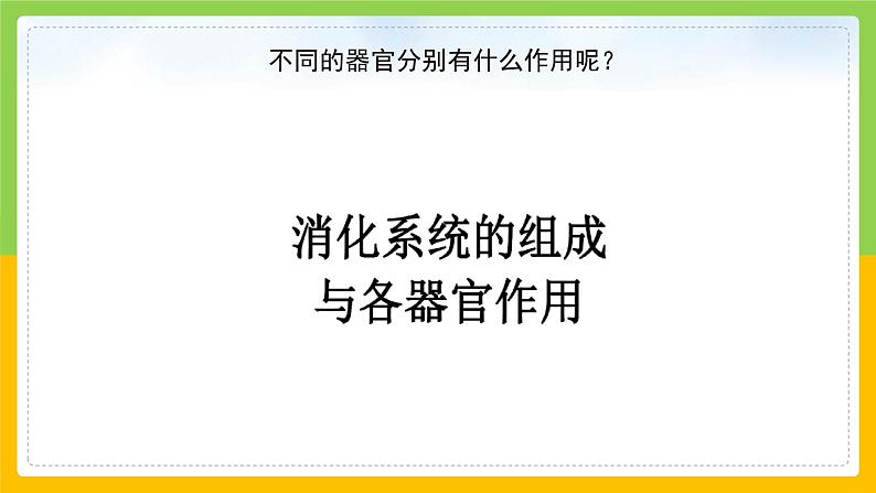 教科版 科学 四上 2.8《食物在身体里的旅行》课件第7页